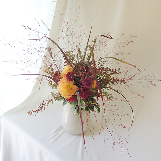 生花 パニカム レッド染め 早締切74 通販 はなどんやアソシエ 生花 パニカム レッド染め 早締切74 通販 はなどんやアソシエ