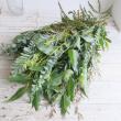 【生花】日本草花園のネイティブ&グリーンミックス(束単位)【OT】