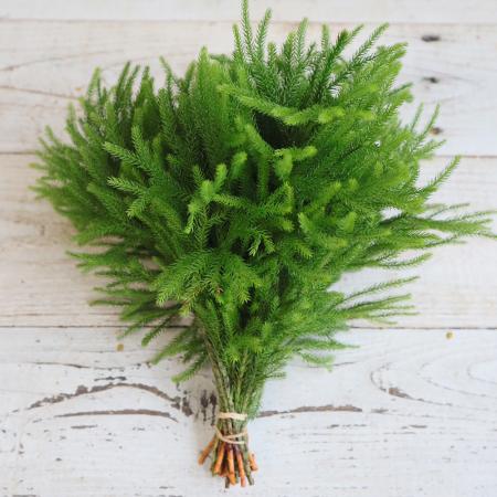 【生花/即納】たちひかげ(束約20本)　約20cm　群馬県産