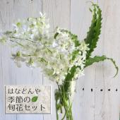 そら　生花　カーネーション　デンファレ サンダンスグリーン クール便 bloomee 500円プラン】今週お届けするお花はこちら♡2021年6月25