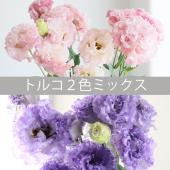 パンフラワー、紫陽花5種類とトルコキキョウ(樹脂粘土、ハンドメイド) パンフラワー、紫陽花5種類とトルコキキョウ(樹脂粘土