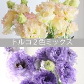 パンフラワー、紫陽花5種類とトルコキキョウ(樹脂粘土
