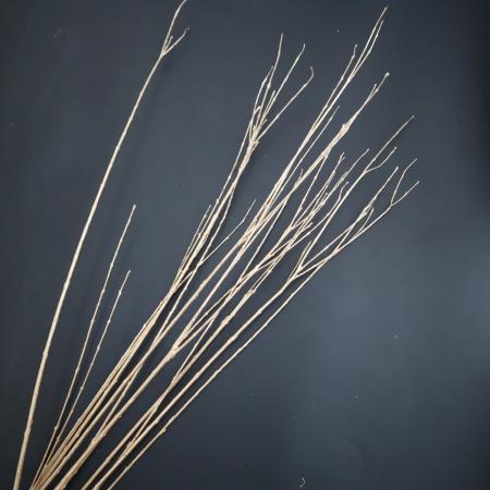 【生花/即納】行李柳(ゴールド)1級【JM】