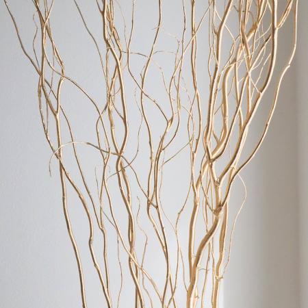 【生花/即納】茨城の金塗雲龍柳【YB】