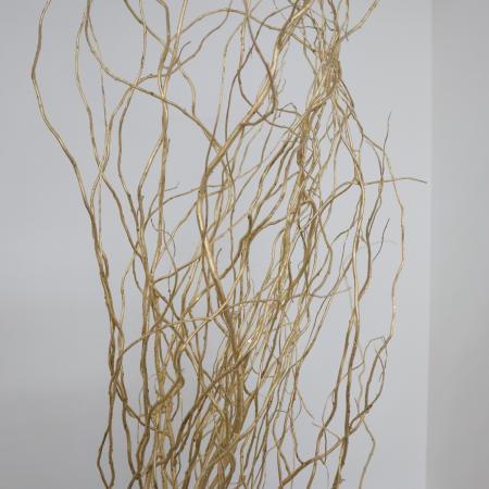 【生花/即納】金塗ドラゴン柳(ラメ付)【NA】