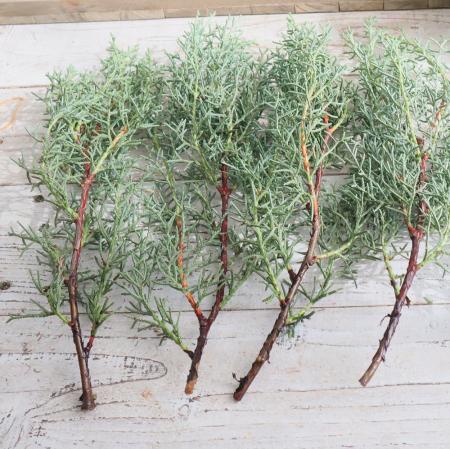 【生花】【日野】ブルーアイス 30cmつまみ