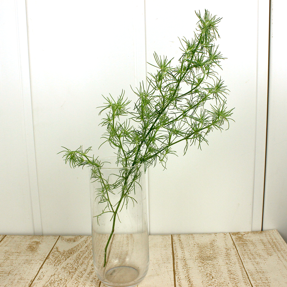 直前 日野 ロータス コットンキャンディー 40センチ程度 生花 通販 はなどんやアソシエ 直前 日野 ロータス コットンキャンディー 40センチ程度 生花 通販 はなどんやアソシエ