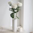 【生花】デコラマム サイレント(白) JFDお正月