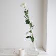 【生花】デコラマム レドニック(白)愛知県など　◆届日限定12/27-28:お正月マム