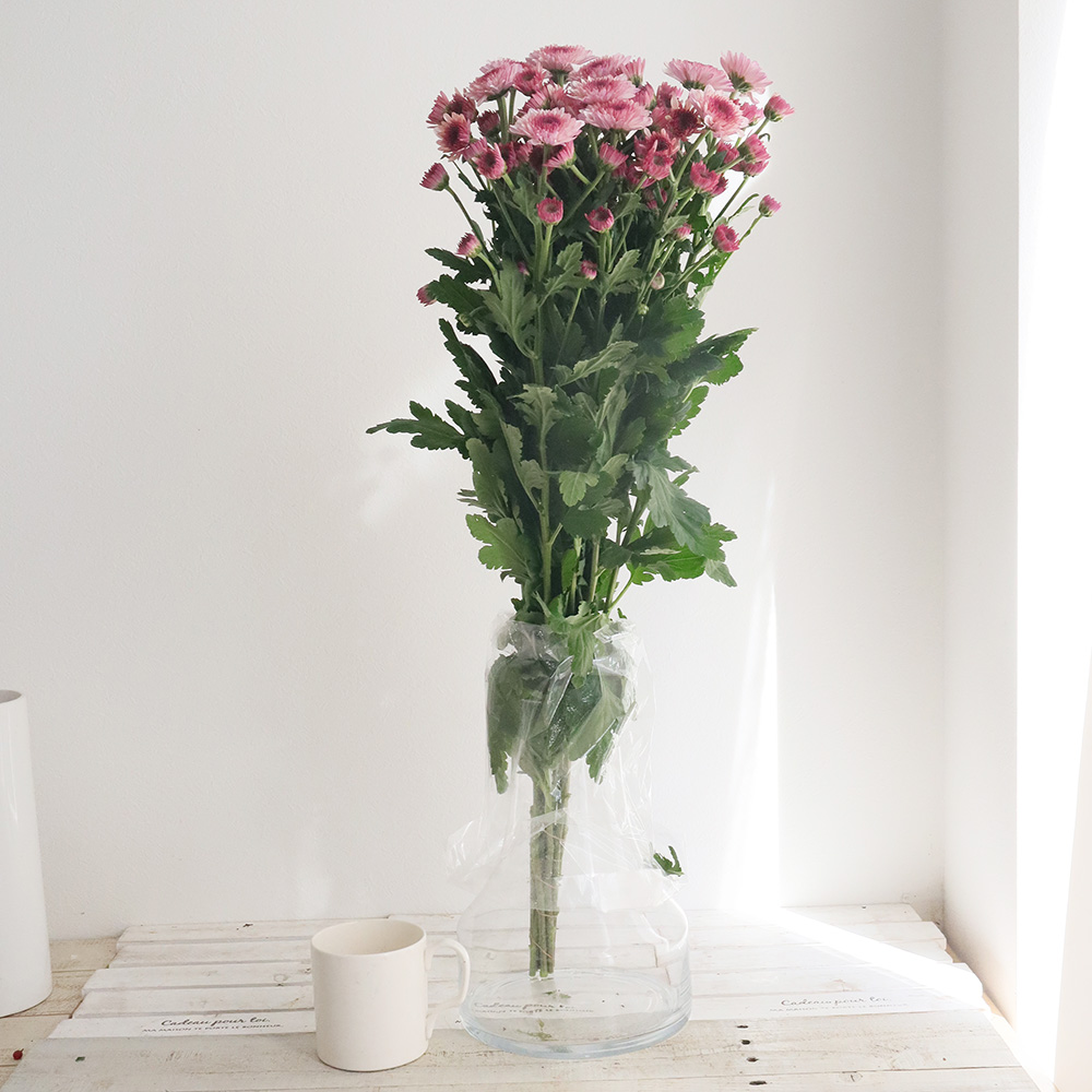 はなはなまろん 新品】テザック ブルースリング 75mm幅x5m！ 2本 楽天