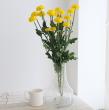 【生花】スプレーマム ファイヤフライ(黄) ■届日限定:12/20-26:JFDお正月
