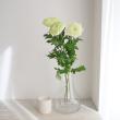 【生花】デコラマム ゼンブラライム　■届日限定:12/23-24:JFDお正月