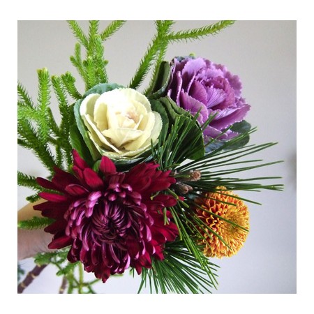 生花】葉ボタン 冬紅orウィンターチェリー(赤)50センチJA酒田市