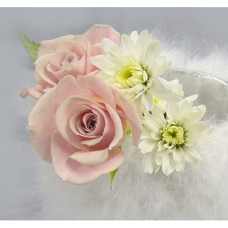 生花・年末予約】12/22-29日限定□スプレーマム モナリザ(八重白