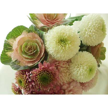 生花・年末先行予約】12/22-23日限定□ピンポンマムスーパーなど:JFD