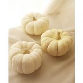 ※販売終了※特価◎【生花/即納】かぼちゃ ミニパンプキン（白） M～L　ホワイトブーなど★ボリューム割