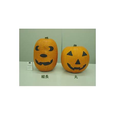 【生花】北空知:オータムゴールド　M(丸15cm)