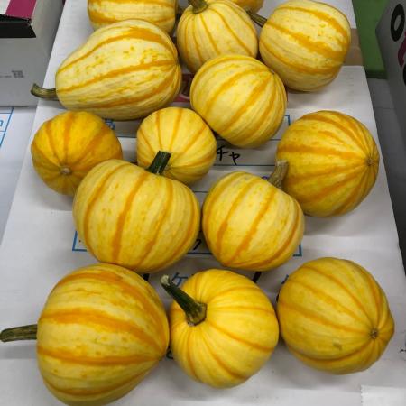 【生花★即納】【訳アリ!!】かぼちゃ プッチーニ(S〜L)　☆☆