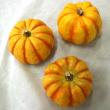 【生花★即納】【訳アリ!!】かぼちゃ プッチーニ(S〜L)　☆☆