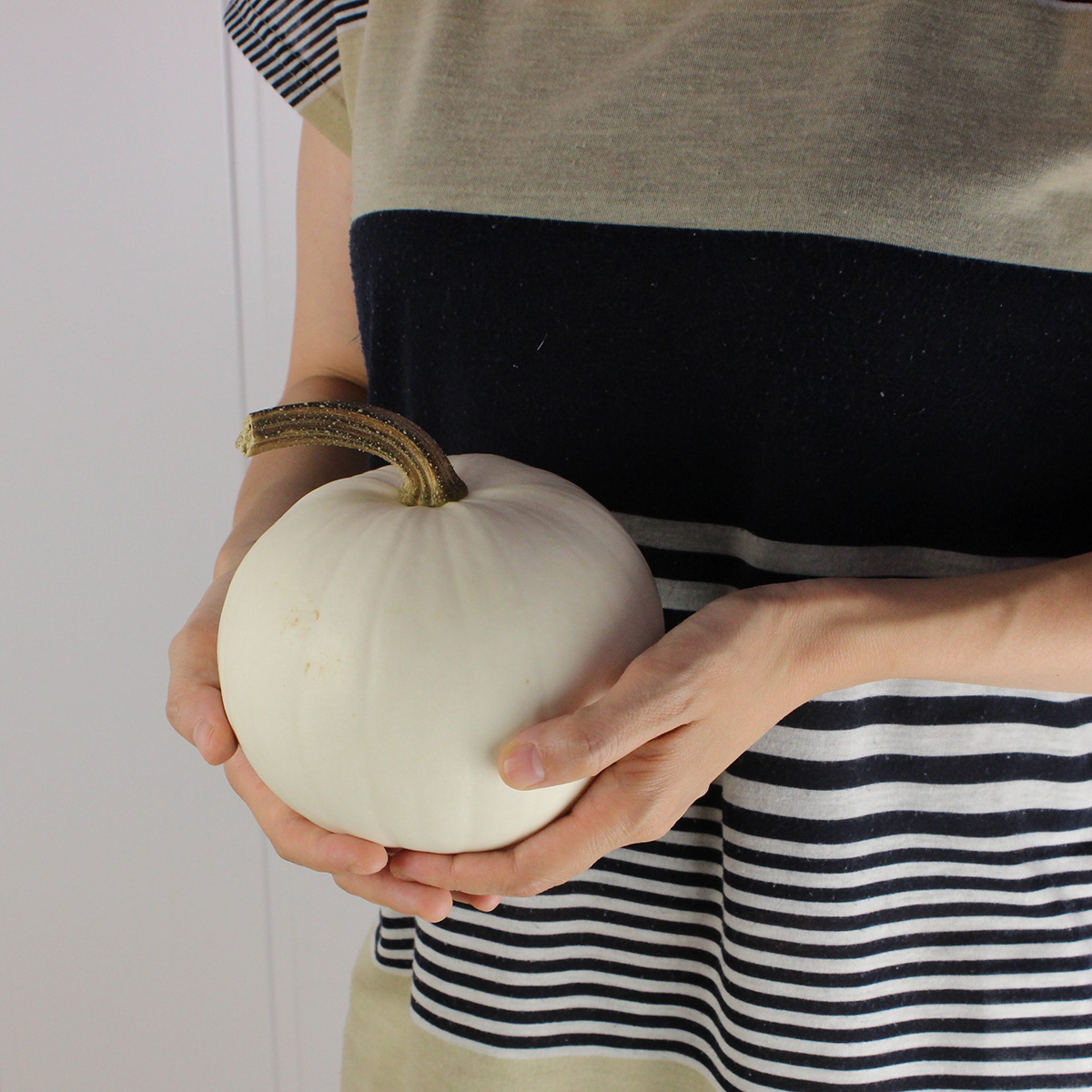 生花 即納 かぼちゃ スノーボール 白 中玉 L 通販 はなどんやアソシエ 生花 即納 かぼちゃ スノーボール 白 中玉 L 通販 はなどんやアソシエ