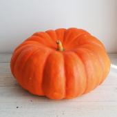 なあ。ルーヴルドーかぼちゃ 送料無料】【生花☆即納】かぼちゃ ルージュ・ヴィ・デタンプ(オレンジ
