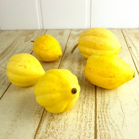 かぼちゃ出品 Amazon.co.jp: かぼちゃ 種 【 すずなりカボちゃん （鈴成錦2号