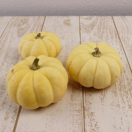 【生花/即納】かぼちゃ カスペリータ(イエロー〜クリーム)