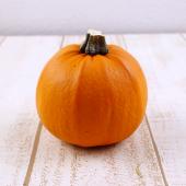 直前】☆訳アリ☆かぼちゃ トリック 2L ※商品説明を必ずお読みください