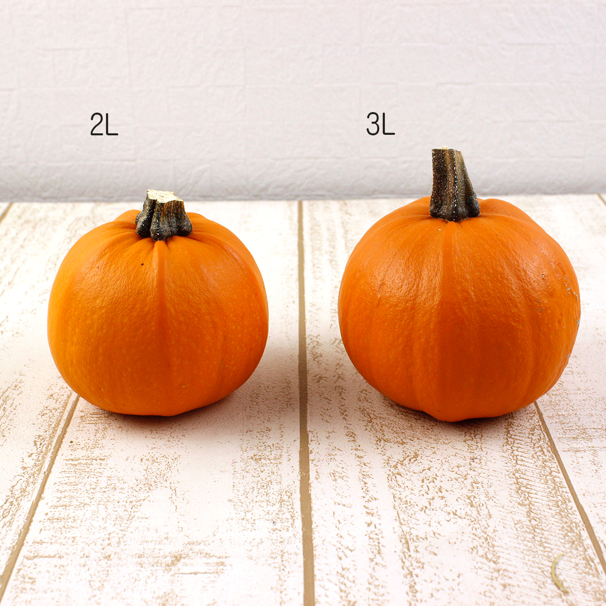 直前】☆訳アリ☆かぼちゃ トリック 2L ※商品説明を必ずお読みください