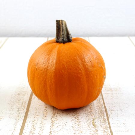 【生花/即納】かぼちゃ　トリック 4L　※商品説明を必ずお読みください