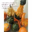 【生花】【早得A】9/4まで《ハロウィンカボチャ》オーナメンタルミックス(おもちゃ系ツヤ出し　ミックス合計15個)ネット単位　顔シールつき