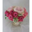 【花プラン】バラ　リメンブランス(淡いピンク)