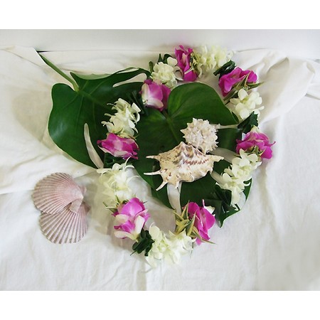 直前1023 デンファレ ソニア 通販 はなどんやアソシエ 直前1023 デンファレ ソニア 通販 はなどんやアソシエ