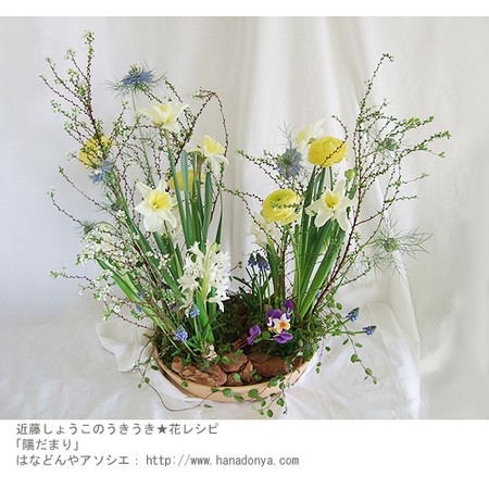 直前!!】雪柳(花)75cm 【生花】 - 花材通販はなどんやアソシエ
