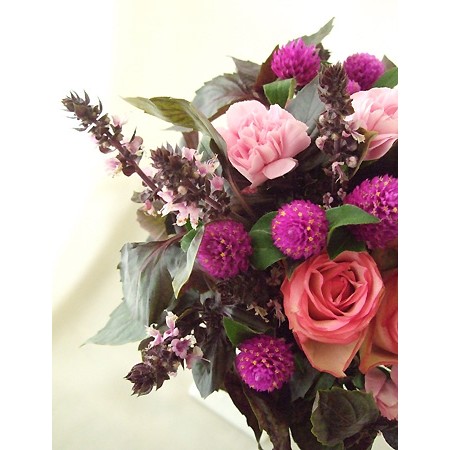 直前0925 生花 中里園芸のバジル ダークオパール 通販 はなどんやアソシエ 直前0925 生花 中里園芸のバジル ダークオパール 通販 はなどんやアソシエ