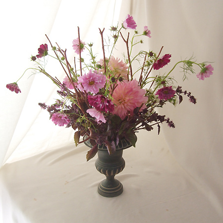 直前0925 生花 中里園芸のバジル ダークオパール 通販 はなどんやアソシエ 直前0925 生花 中里園芸のバジル ダークオパール 通販 はなどんやアソシエ