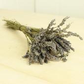 ラベンダー 生花 切り花 価格の安い順 通販 はなどんやアソシエ