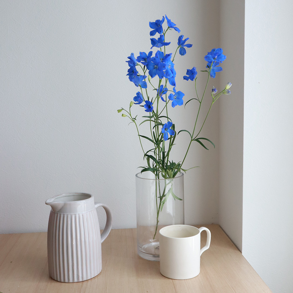 生花 デルフィ グランブルー 青スプレー A50cm程度 Ot 通販 はなどんやアソシエ 生花 デルフィ グランブルー 青スプレー A50cm程度 Ot 通販 はなどんやアソシエ