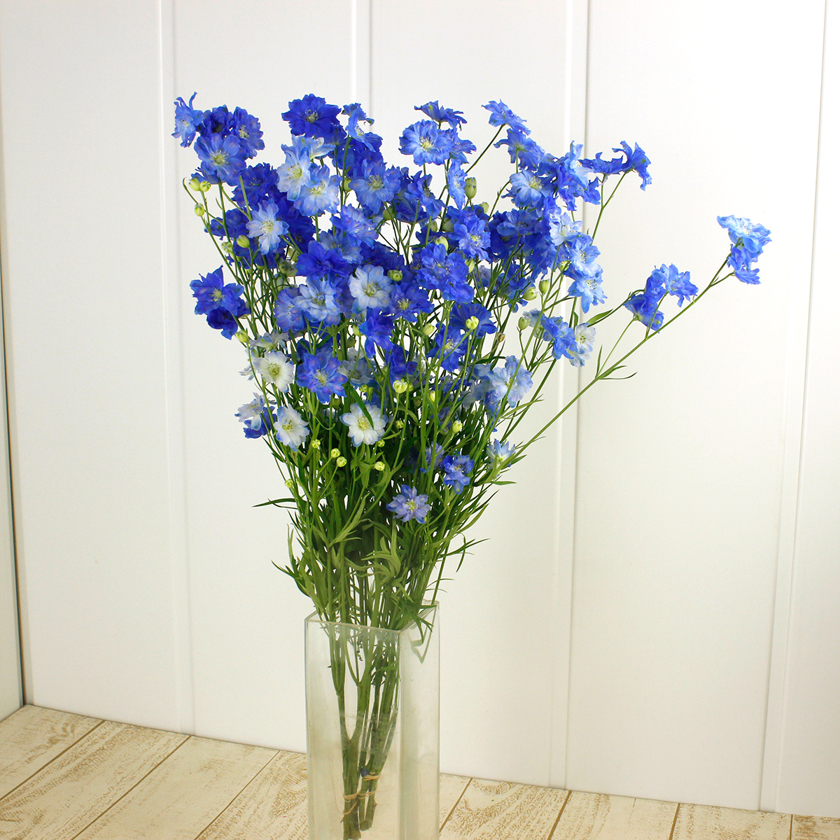 生花 デルフィ ラピスラズリ 青 八重スプレー 50cm程度 Ita 通販 はなどんやアソシエ 生花 デルフィ ラピスラズリ 青 八重スプレー 50cm程度 Ita 通販 はなどんやアソシエ