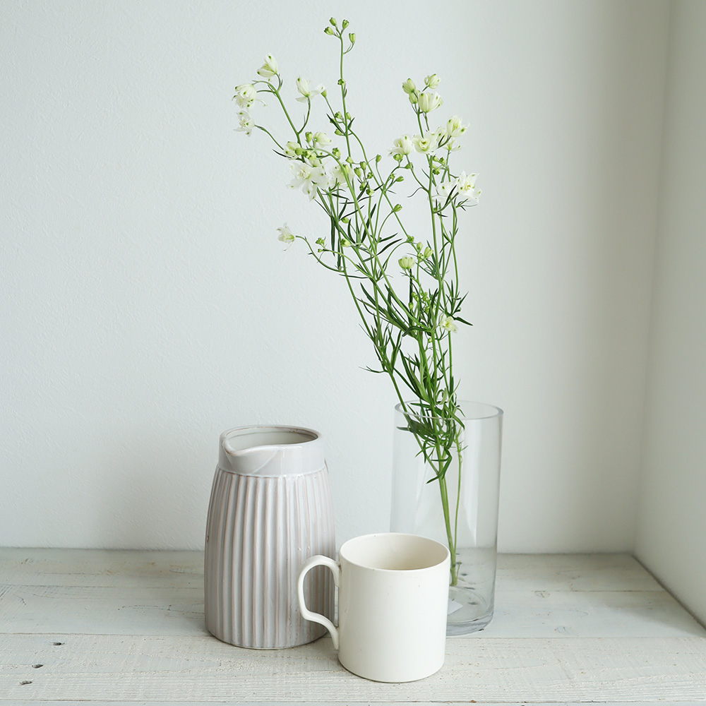 生花 デルフィニューム ピクシーホワイト 白 スプレー 50cm Ot 通販 はなどんやアソシエ 生花 デルフィニューム ピクシーホワイト 白 スプレー 50cm Ot 通販 はなどんやアソシエ