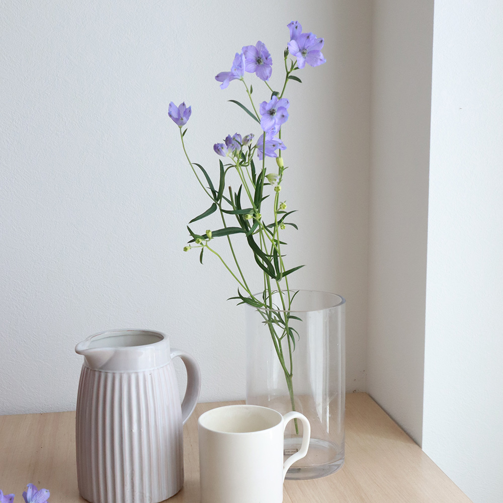 生花 デルフィニューム ラベンダースプレー 紫 50cm程度 Ot 通販 はなどんやアソシエ 生花 デルフィニューム ラベンダースプレー 紫 50cm程度 Ot 通販 はなどんやアソシエ