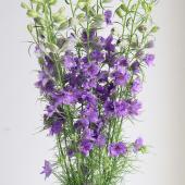 【生花】ラクスパー　ライラック（紫系）70cm～【OT】
