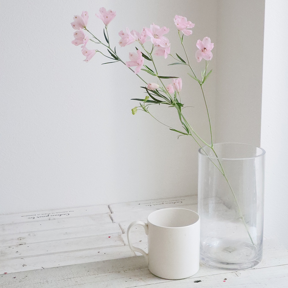 直前 デルフィニューム ピンク 50cm程度 スプレー 生花 通販 はなどんやアソシエ 直前 デルフィニューム ピンク 50cm程度 スプレー 生花 通販 はなどんやアソシエ