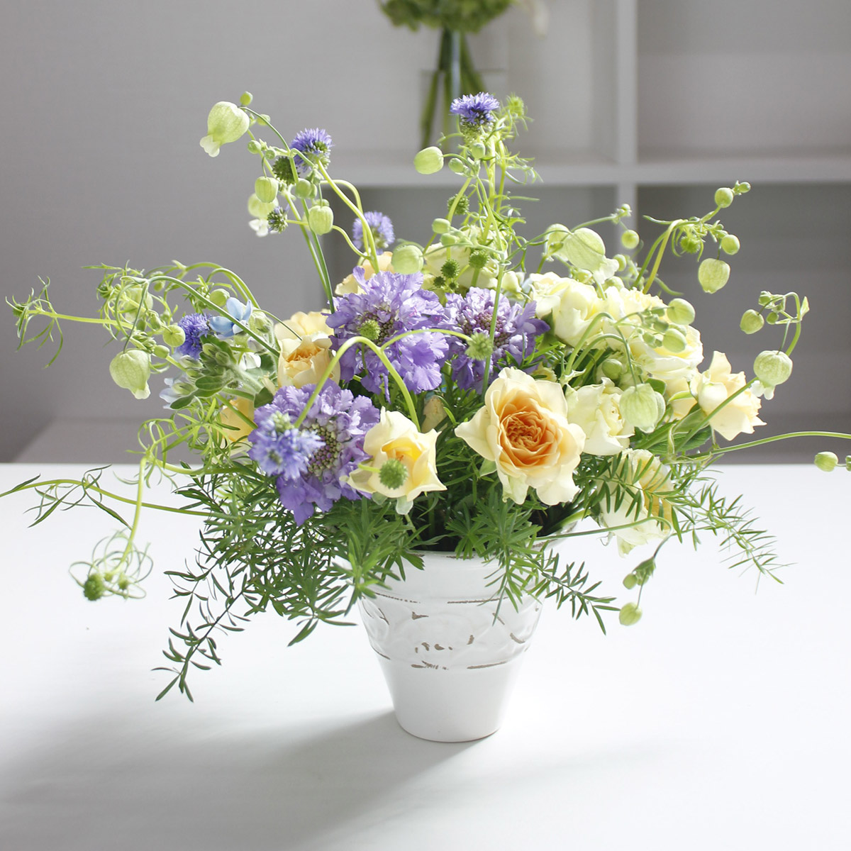 生花 Nodaフラワーのスカビオサ パープルレイン 淡い紫 早締切17 40cm 通販 はなどんやアソシエ 生花 Nodaフラワーのスカビオサ パープルレイン 淡い紫 早締切17 40cm 通販 はなどんやアソシエ