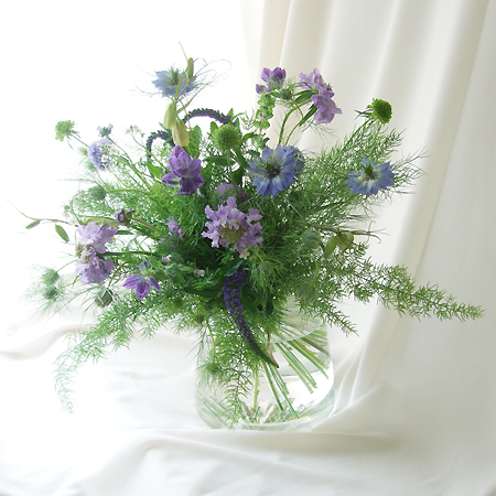 生花 Nodaフラワーのスカビオサ パープルレイン 淡い紫 早締切17 40cm 通販 はなどんやアソシエ 生花 Nodaフラワーのスカビオサ パープルレイン 淡い紫 早締切17 40cm 通販 はなどんやアソシエ