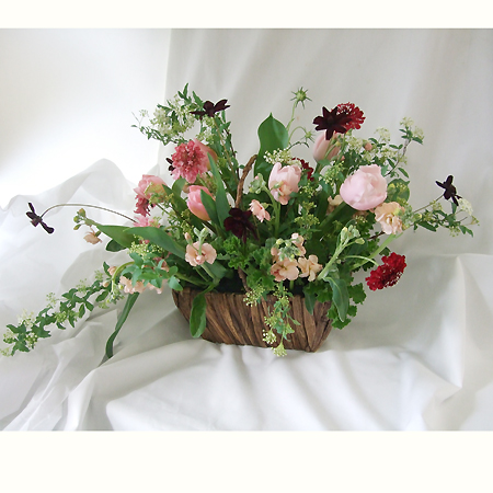 生花 Nodaフラワーのスカビオサ スカーレット 赤 早締切17 40cm 通販 はなどんやアソシエ 生花 Nodaフラワーのスカビオサ スカーレット 赤 早締切17 40cm 通販 はなどんやアソシエ