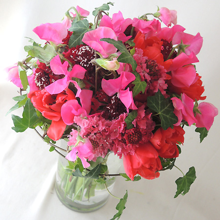 生花 Nodaフラワーのスカビオサ スカーレット 赤 早締切17 40cm 通販 はなどんやアソシエ 生花 Nodaフラワーのスカビオサ スカーレット 赤 早締切17 40cm 通販 はなどんやアソシエ