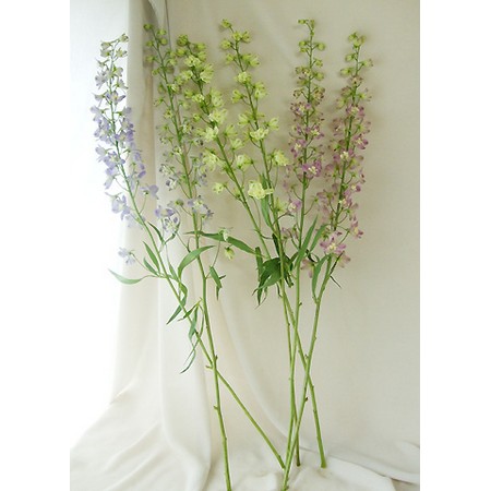 生花 Nodaフラワーさんのデルフィニューム トリックピンク 70cm 早締切 通販 はなどんやアソシエ 生花 Nodaフラワーさんのデルフィニューム トリックピンク 70cm 早締切 通販 はなどんやアソシエ