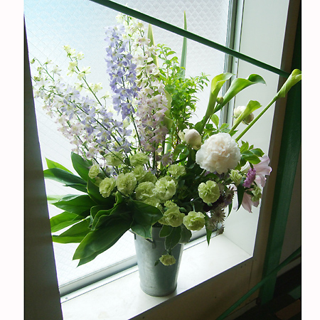 生花 Nodaフラワーさんのデルフィニューム トリックピンク 70cm 早締切 通販 はなどんやアソシエ 生花 Nodaフラワーさんのデルフィニューム トリックピンク 70cm 早締切 通販 はなどんやアソシエ