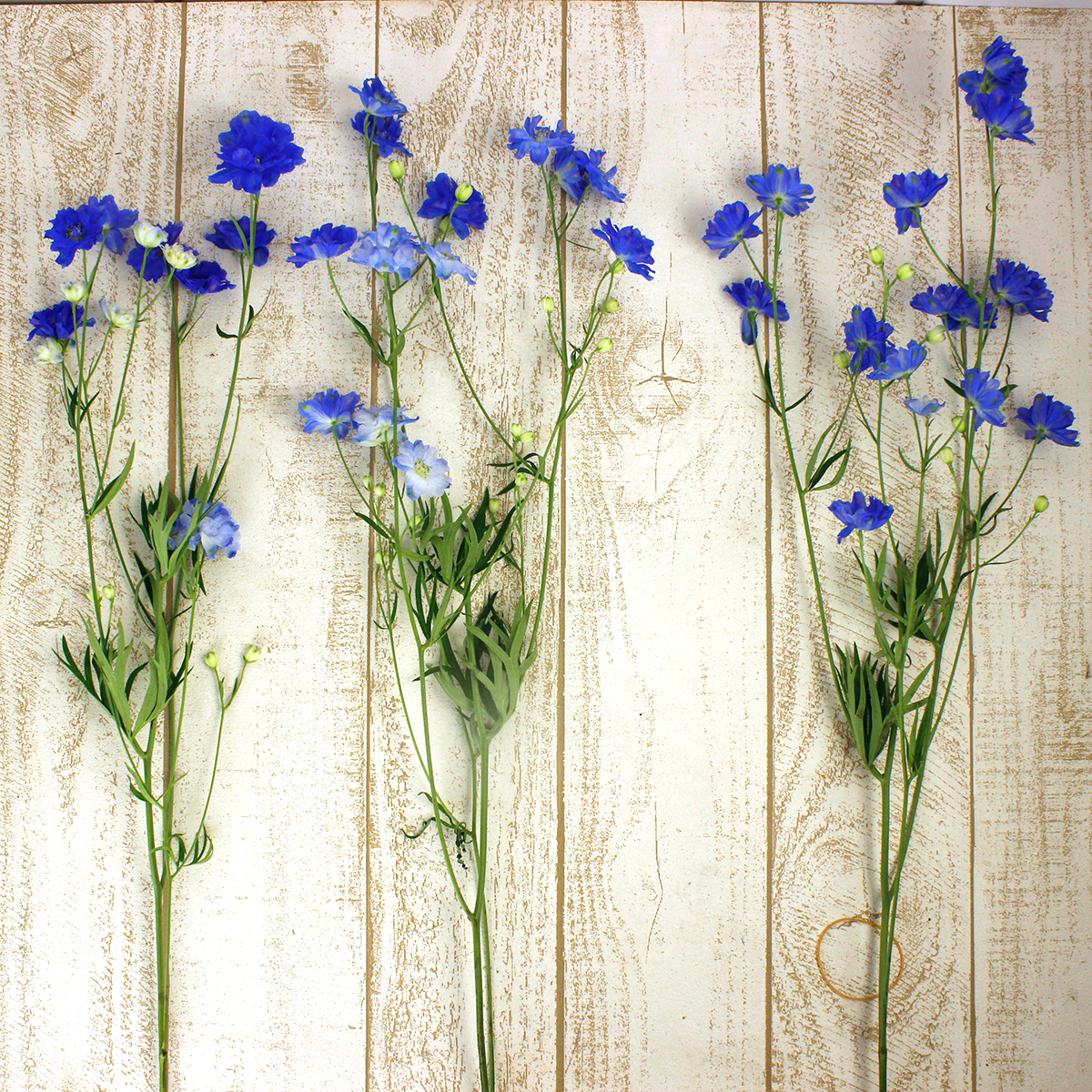 maruさま売約済み　かんざし〈菊large・瑠璃の花〉ヌーディラピスラズリ maruさま売約済み かんざし〈菊large・瑠璃の花〉ヌーディ